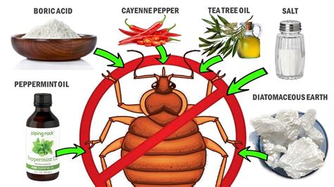 treatment for bed bugs bloomingdale|How to Get Rid of Bedbugs .